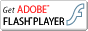 Adobe FLASH Player�̃_�E�����[�h�͂�����