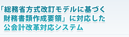 「総務省方式改訂モデルに基づく財務書類作成要領」に対応した公会計改革対応システム